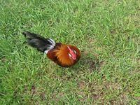 april_june08 255.jpg