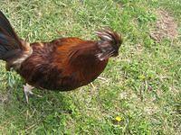 april_june08 261.jpg