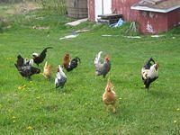 april_june08 264.jpg