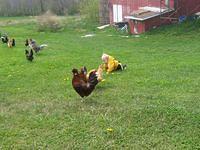 april_june08 267.jpg