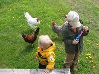 april_june08 274.jpg
