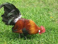 april_june08 276.jpg