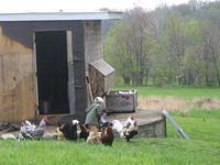 april_june08 277.jpg