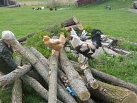 april_june08 300.jpg