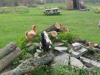 april_june08 301.jpg