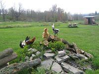 april_june08 303.jpg