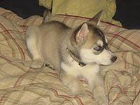 maddie 006.jpg