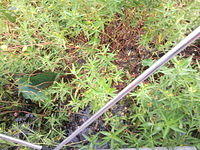 florida2010 053.jpg