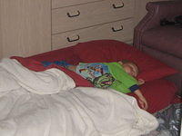 floridaII 073.JPG