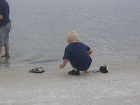 floridaII 121.JPG