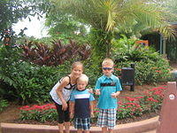 floridaII 128.JPG