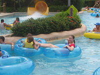 floridaII 142.JPG
