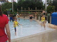 floridaII 149.JPG