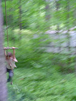 DSC01679.jpg