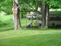 DSC01724.jpg