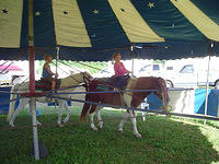 DSC00033.jpg
