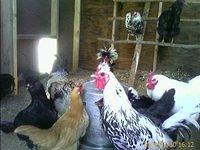 IMAGE_00017.jpg