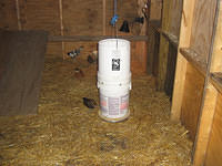 chickenfeeder 002.jpg