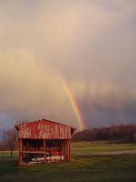 rainbow_6jan07 003.jpg